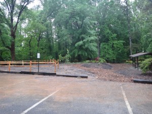 Forest Patio Phs 1 Completion
