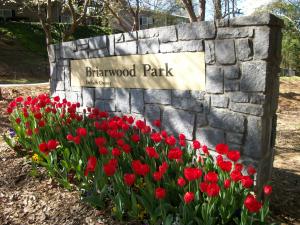 B-Park Spring colour 015